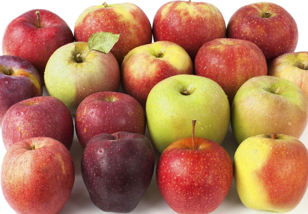 There’s History in Your Apple Sauce